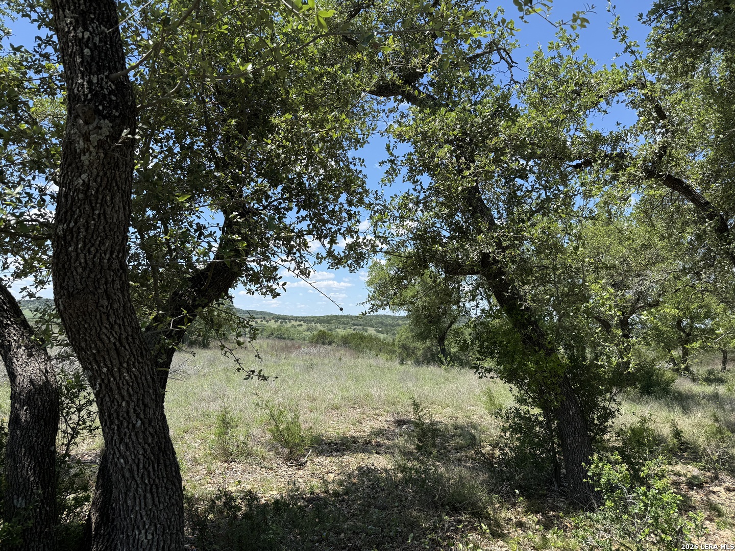 505 Vista View Place Spring Branch, TX 78070 - Photo 11 of 16