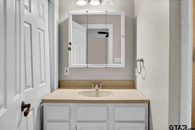 a bathroom with a sink and a mirror