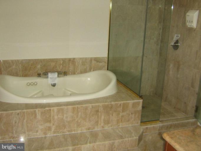 1114 Towlston Road McLean, VA 22102 - Photo 14 of 21 Master Bath