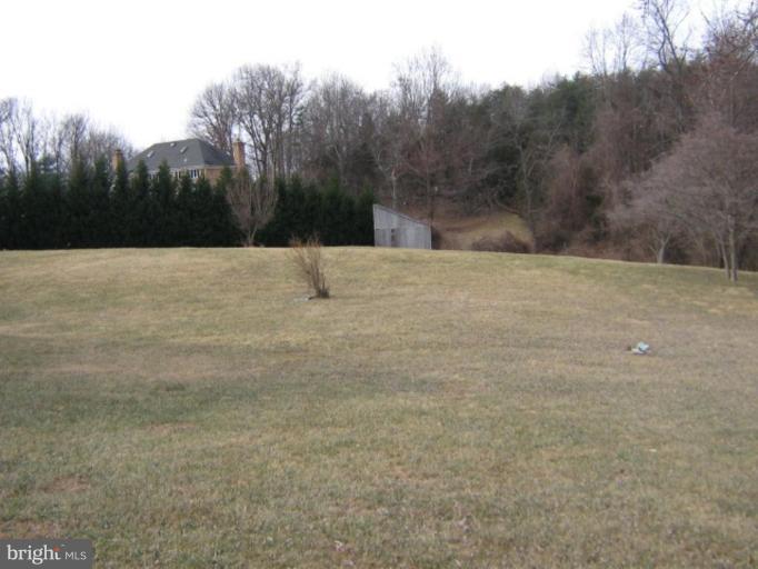 1114 Towlston Road McLean, VA 22102 - Photo 4 of 21 Wooded View / Acreage