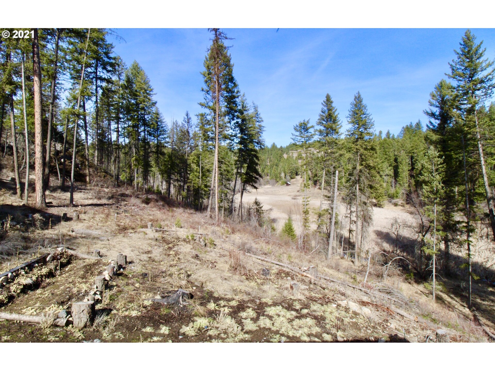 507 Crown Ridge Way Colville, WA 99114 - Photo 29 of 31