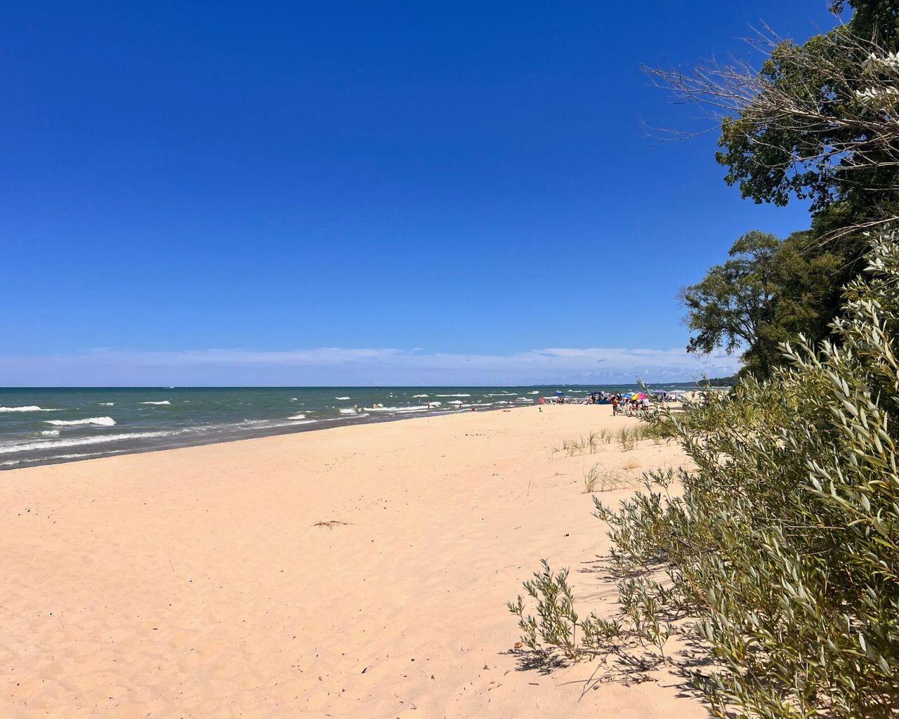 19539 Kluver Road New Buffalo, MI 49117 - Photo 21 of 21 20240815191520068236000000-o