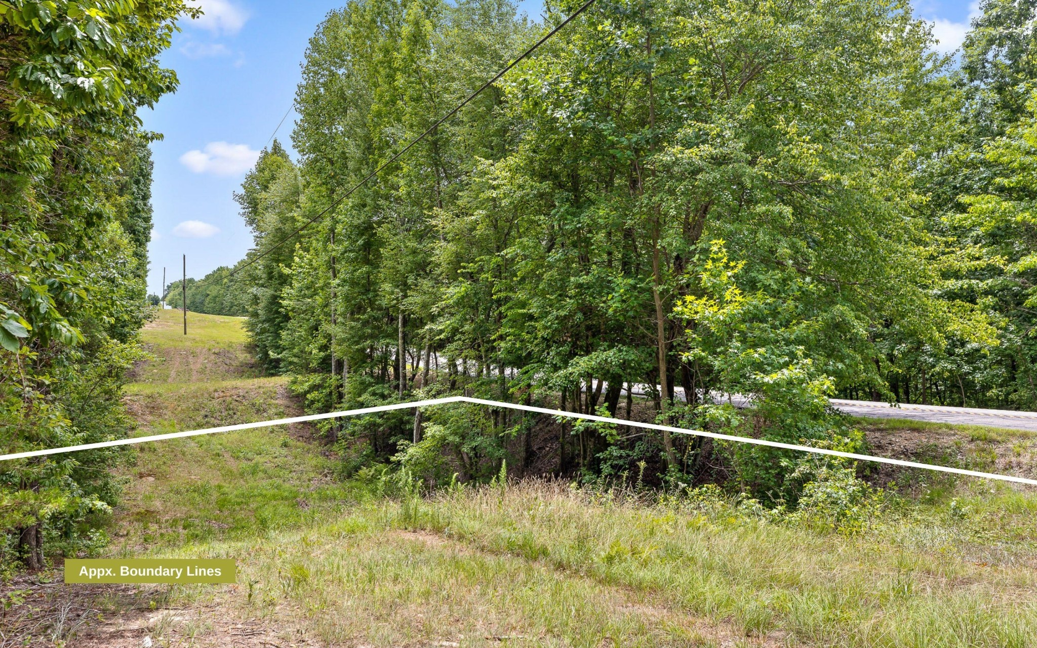 27 Highway 157 Rising Fawn, GA 30738 - Photo 16 of 24 a backyard of a house with a yard and entertaining space