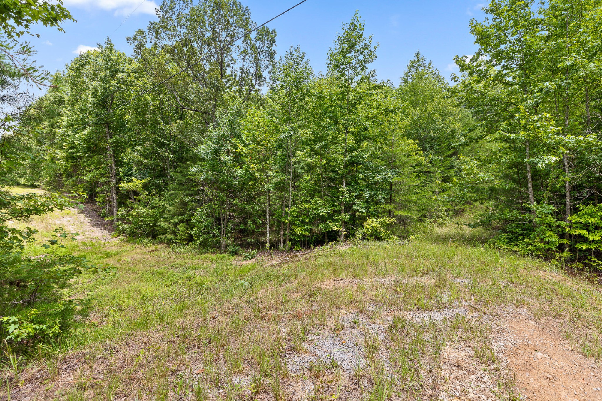 27 Highway 157 Rising Fawn, GA 30738 - Photo 18 of 24 a view of a yard with a tree