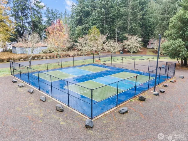 a view of a backyard with trees