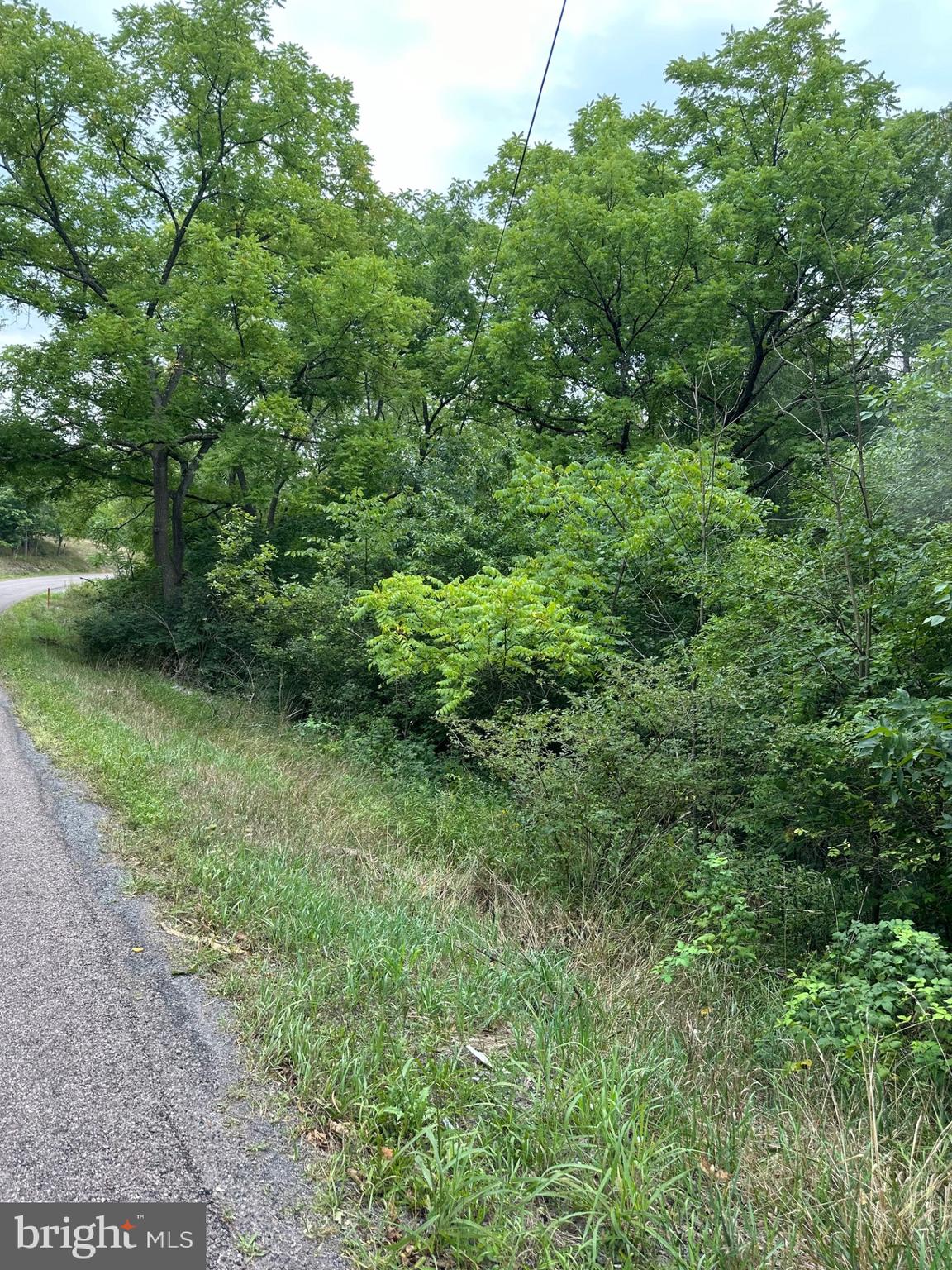 5.65-acres Reynoldsdale Road New Paris, PA 15554 - Photo 6 of 7 a view of a lush green forest