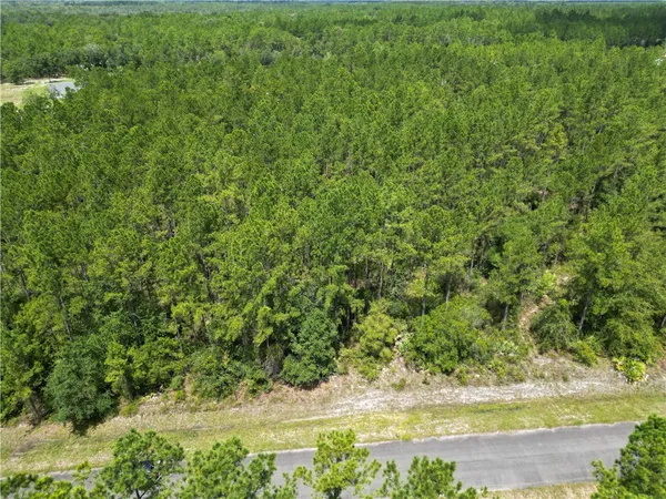 $20,000 | 0 Heritage Circle, Hortense, GA 31543