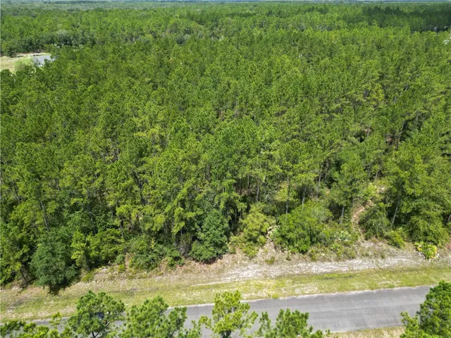 $20,000 | 0 Heritage Circle, Hortense, GA 31543