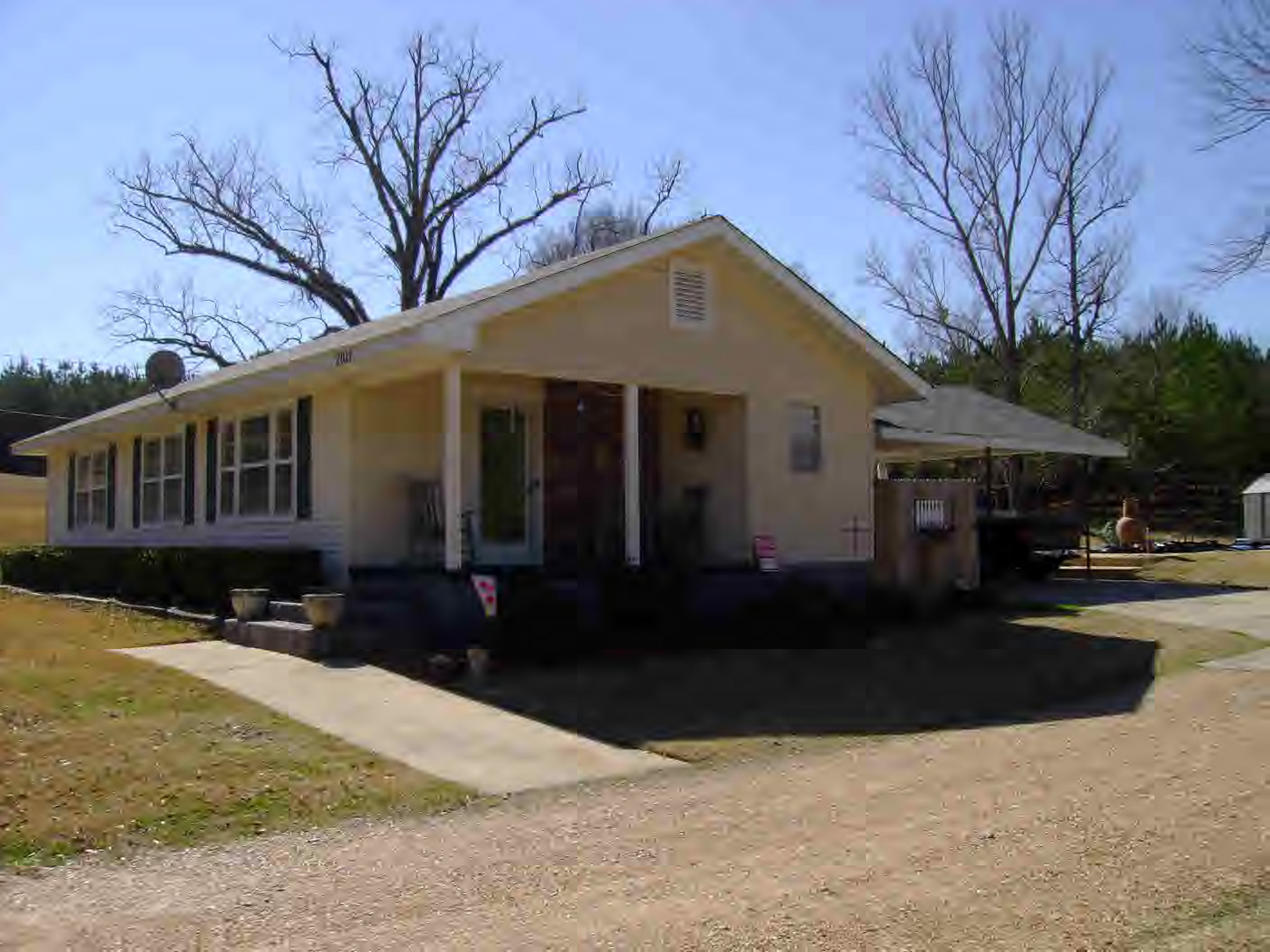 Main View