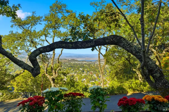 a view of a back yard
