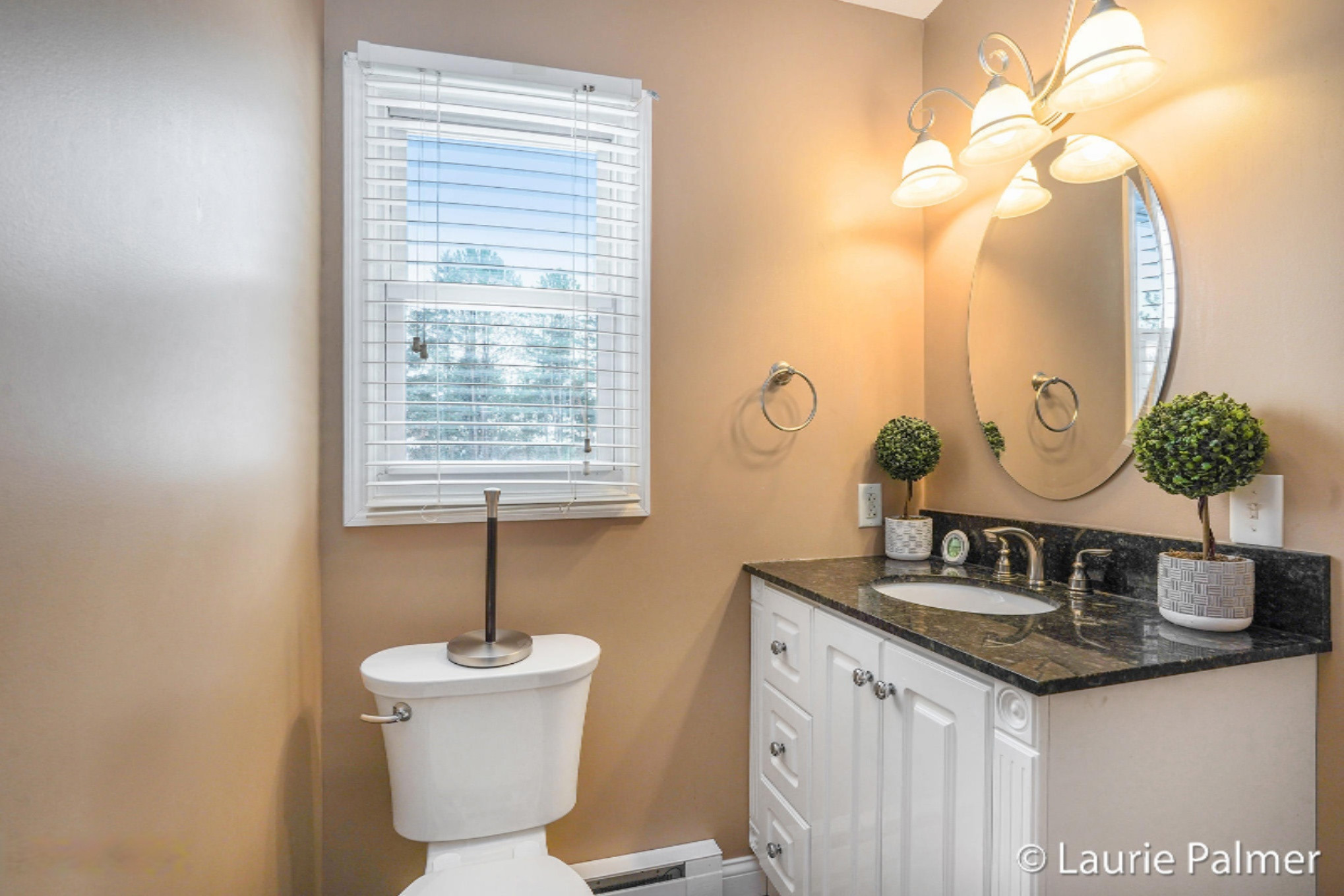11298 Brown Road Fenwick, MI 48834 - Photo 12 of 21 Photo Feb 22, 11 48 47 AM