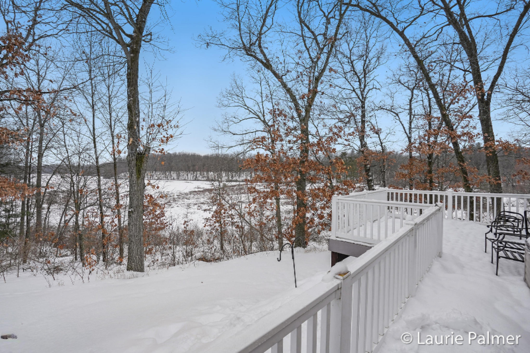 11298 Brown Road Fenwick, MI 48834 - Photo 21 of 21 Photo Feb 22, 12 02 06 PM
