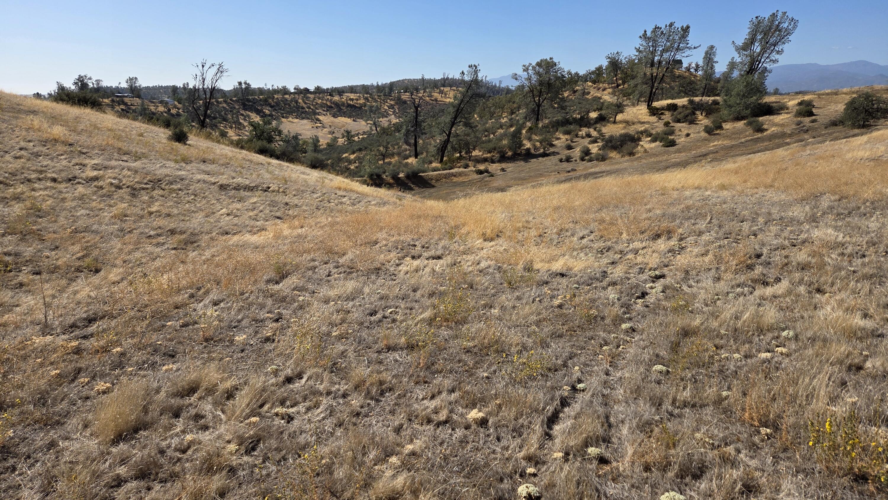 Lot 64 Gogo Road Igo, CA 96047 - Photo 25 of 36 20260916_104537