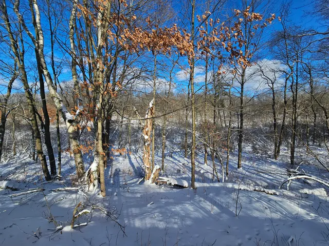 $45,000 | 2 120th Avenue, Rodney, MI 49342