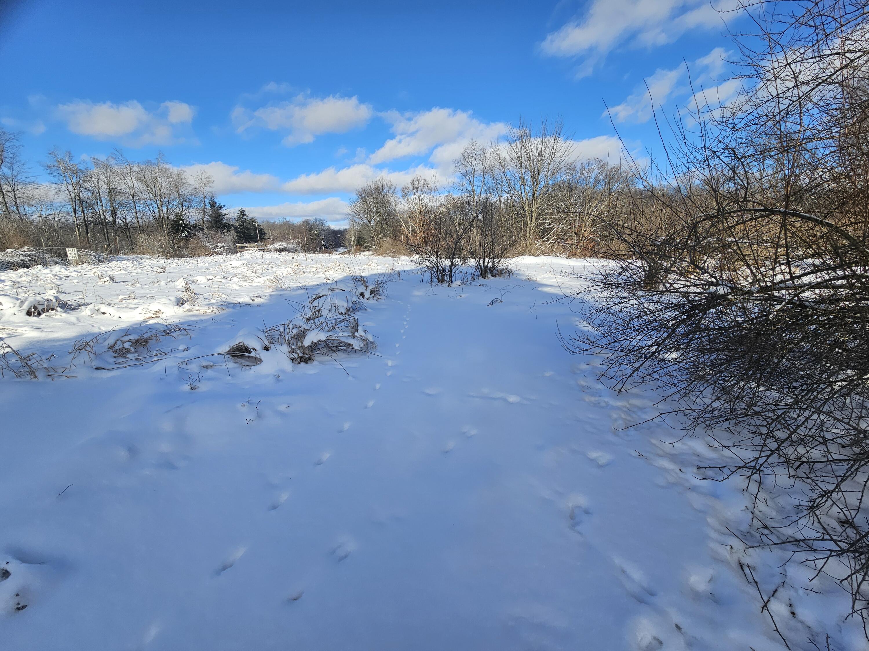 2 120th Avenue Rodney, MI 49342 - Photo 3 of 12 20260102_135009