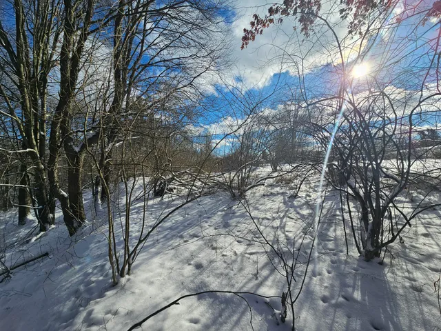 $45,000 | 2 120th Avenue, Rodney, MI 49342