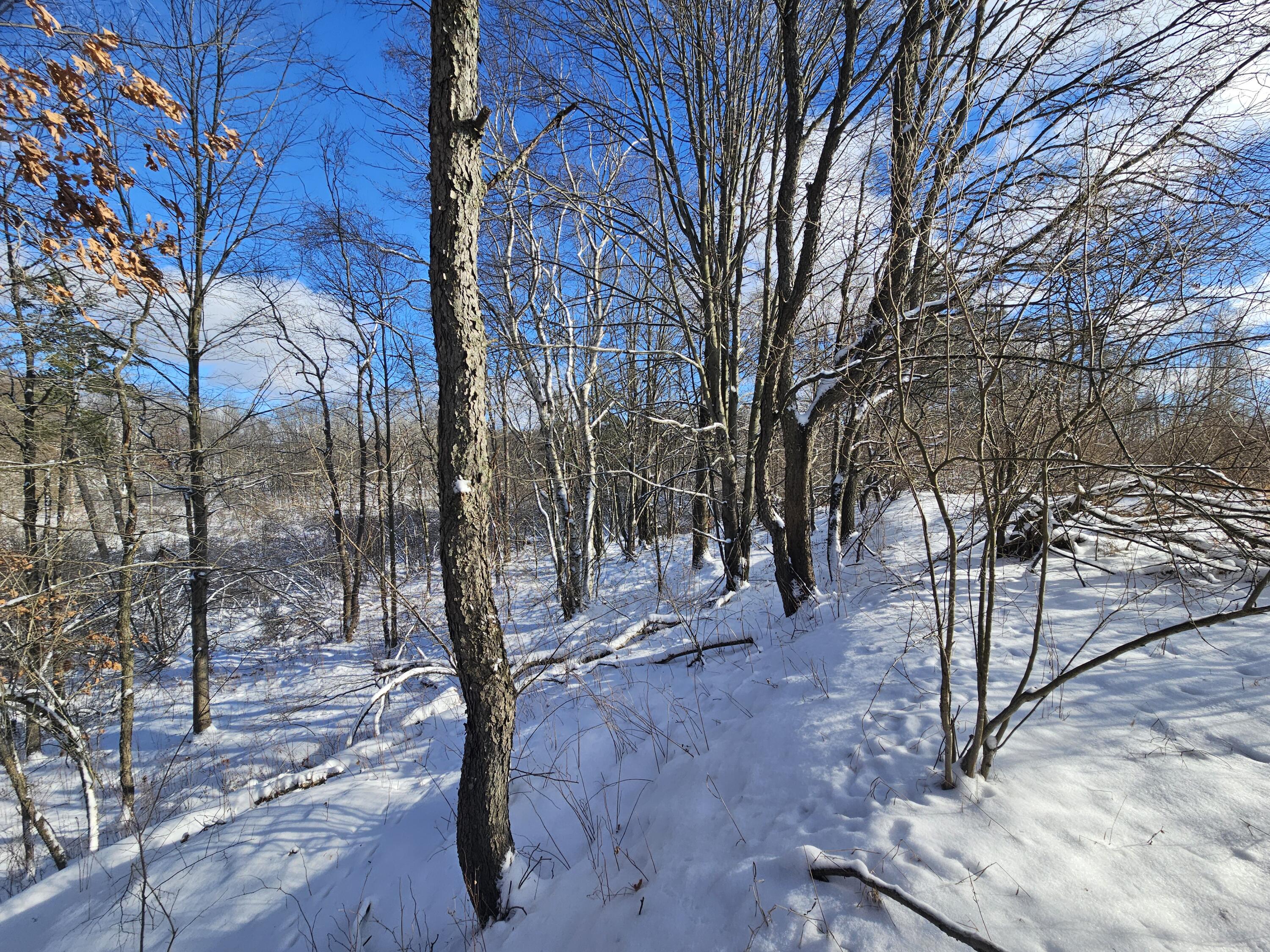 2 120th Avenue Rodney, MI 49342 - Photo 6 of 12 20260102_135137
