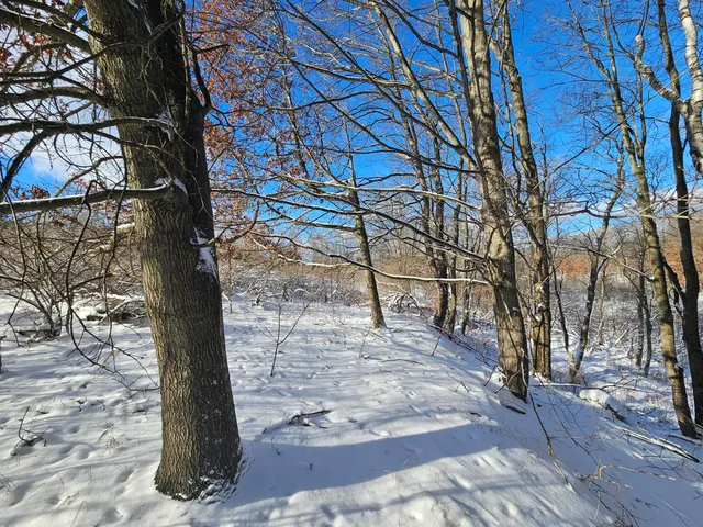 $45,000 | 2 120th Avenue, Rodney, MI 49342