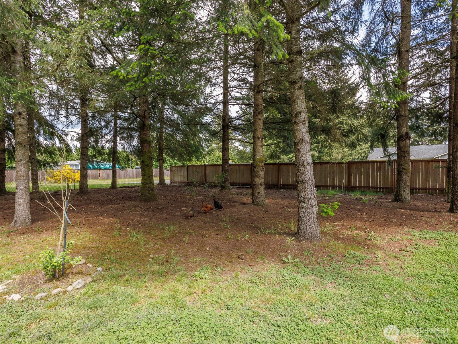 5030 180th Trail Southwest Rochester, WA 98579 - Photo 36 of 40