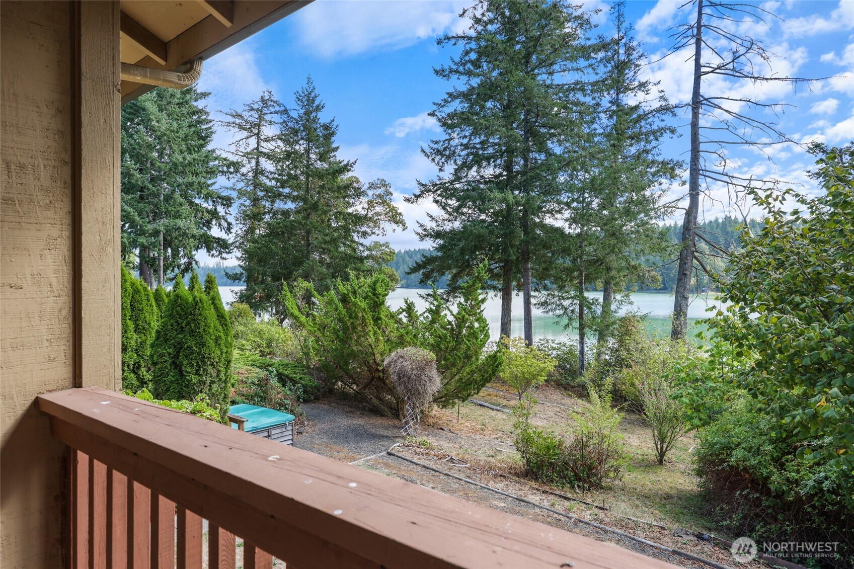 7922 Ellison Loop Northwest Olympia, WA 98502 - Photo 22 of 40 a view of a backyard with plants and large trees