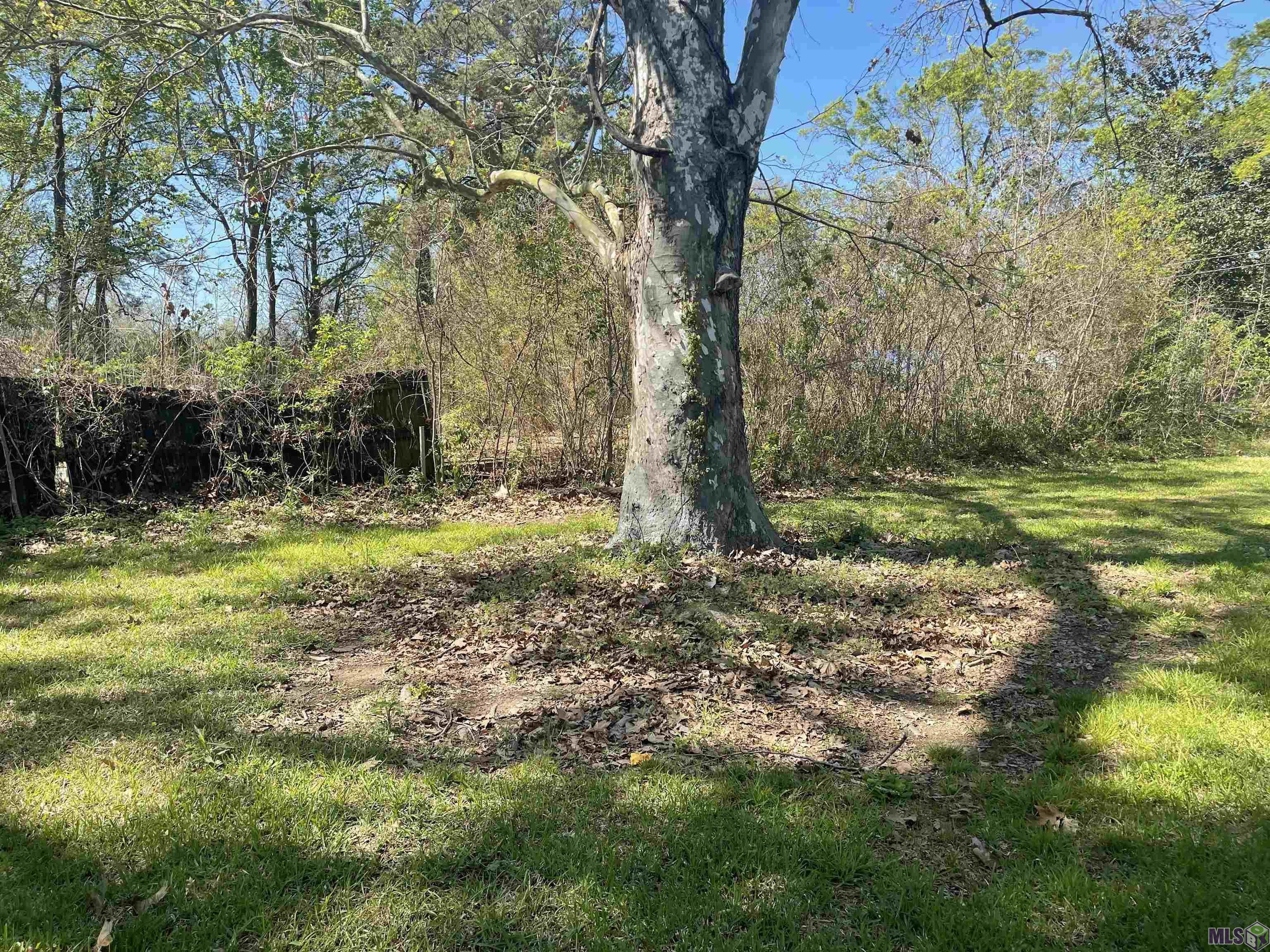 4112 Sycamore Street Baton Rouge, LA 70805 - Photo 12 of 55