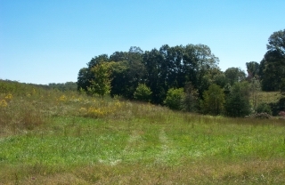 39 Wilson Creek Road, Unit 39B Lebanon Junction, KY 40150 - Photo 1 of 1 Primary Photo