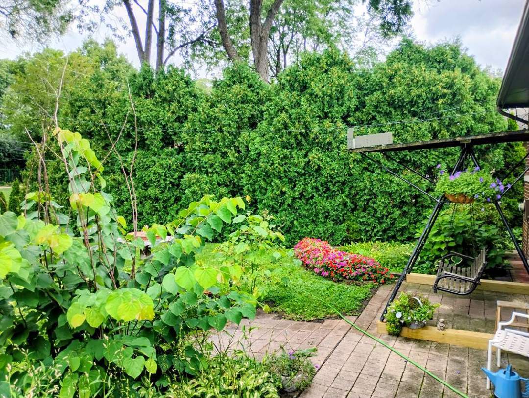 308 Sheldon Avenue Downers Grove, IL 60515 - Photo 28 of 36