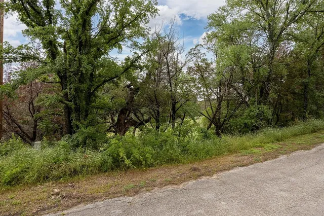 a big yard with lots of green space