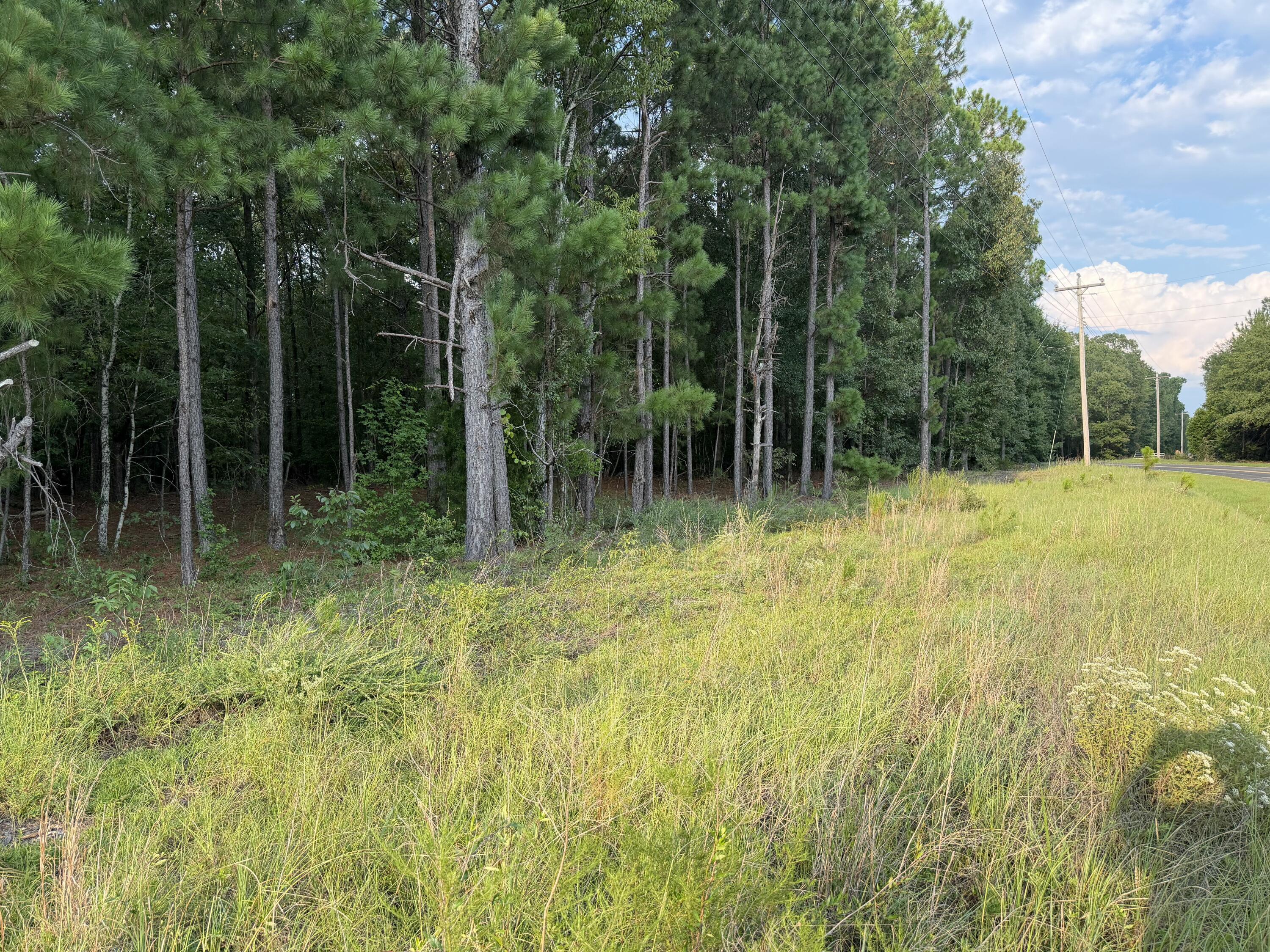 0 Firetower Road Neeses, SC 29107 - Photo 4 of 5 Vacant Land