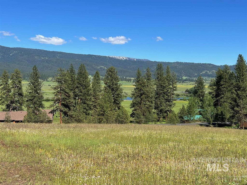Lot 19 Hot Springs Road New Meadows, ID 83654 - Photo 10 of 28