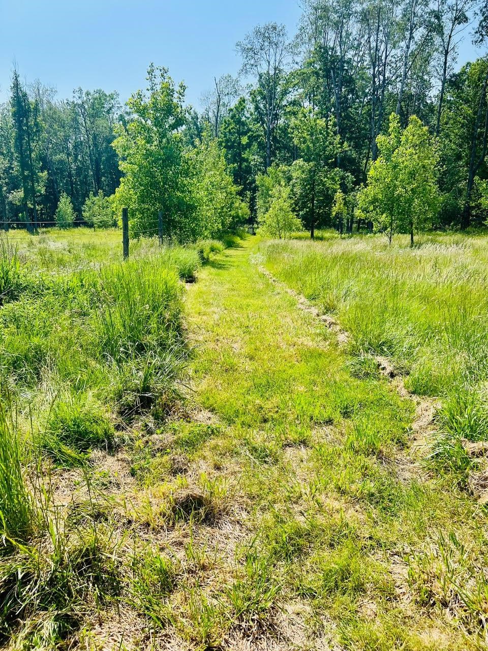 760 West Wirbel Road Pinconning, MI 48650 - Photo 54 of 65