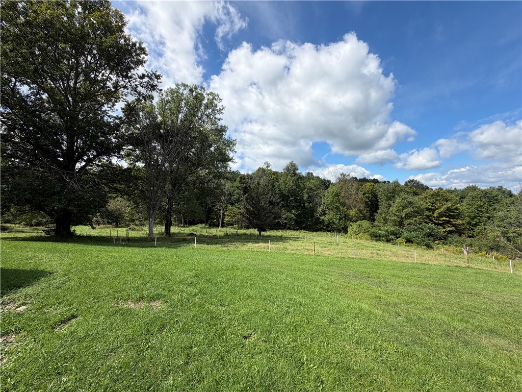 379 Watrus Road Greene, NY 13778 - Photo 29 of 41 Gallery Image 29