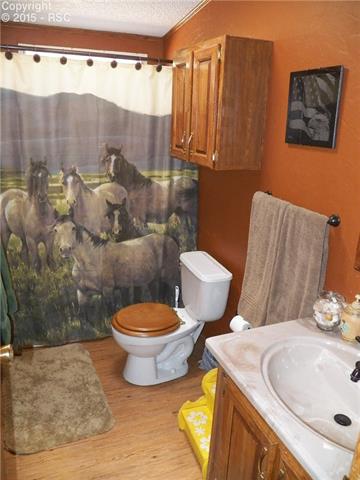 2386 Pathfinder Road Florissant, CO 80816 - Photo 22 of 32 Gallery Image 22
