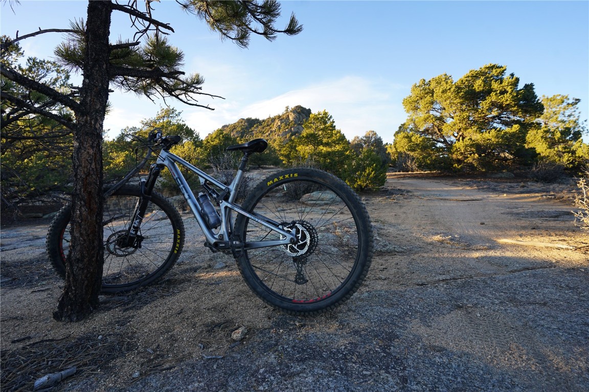Tbd Black Beaver Road Hartsel, CO 80449 - Photo 19 of 22 a view of a backyard with plants and a park