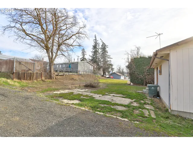 a view of a yard with a large tree