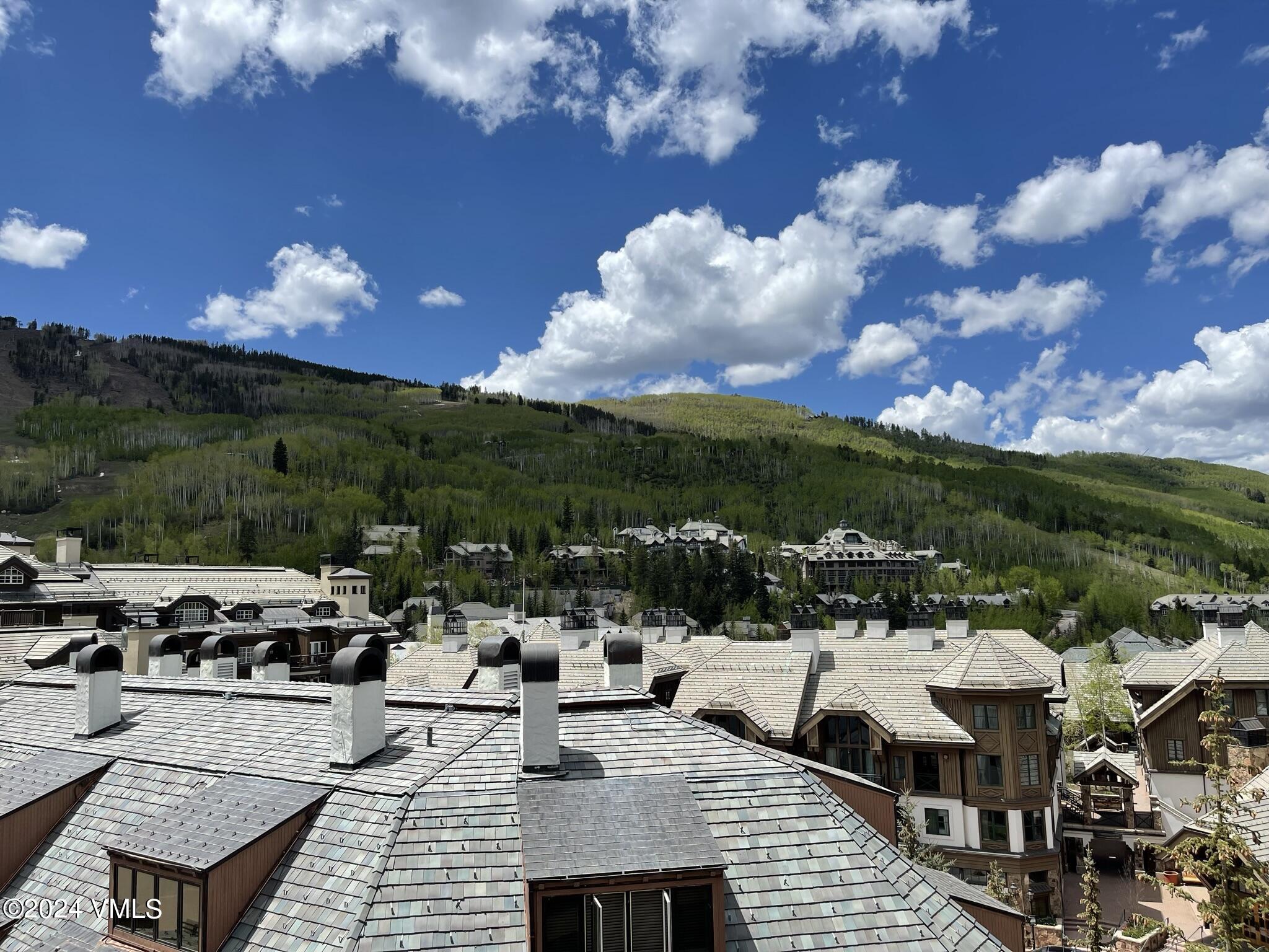 210 Offerson Road, Unit R317 WEEK 25 Beaver Creek, CO 81620 - Photo 3 of 24 IMG_3167