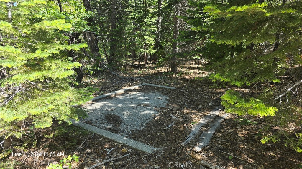 0 Fish Creek Forest Ranch, CA 95942 - Photo 31 of 43 concrete pad between cabins 1 & 2