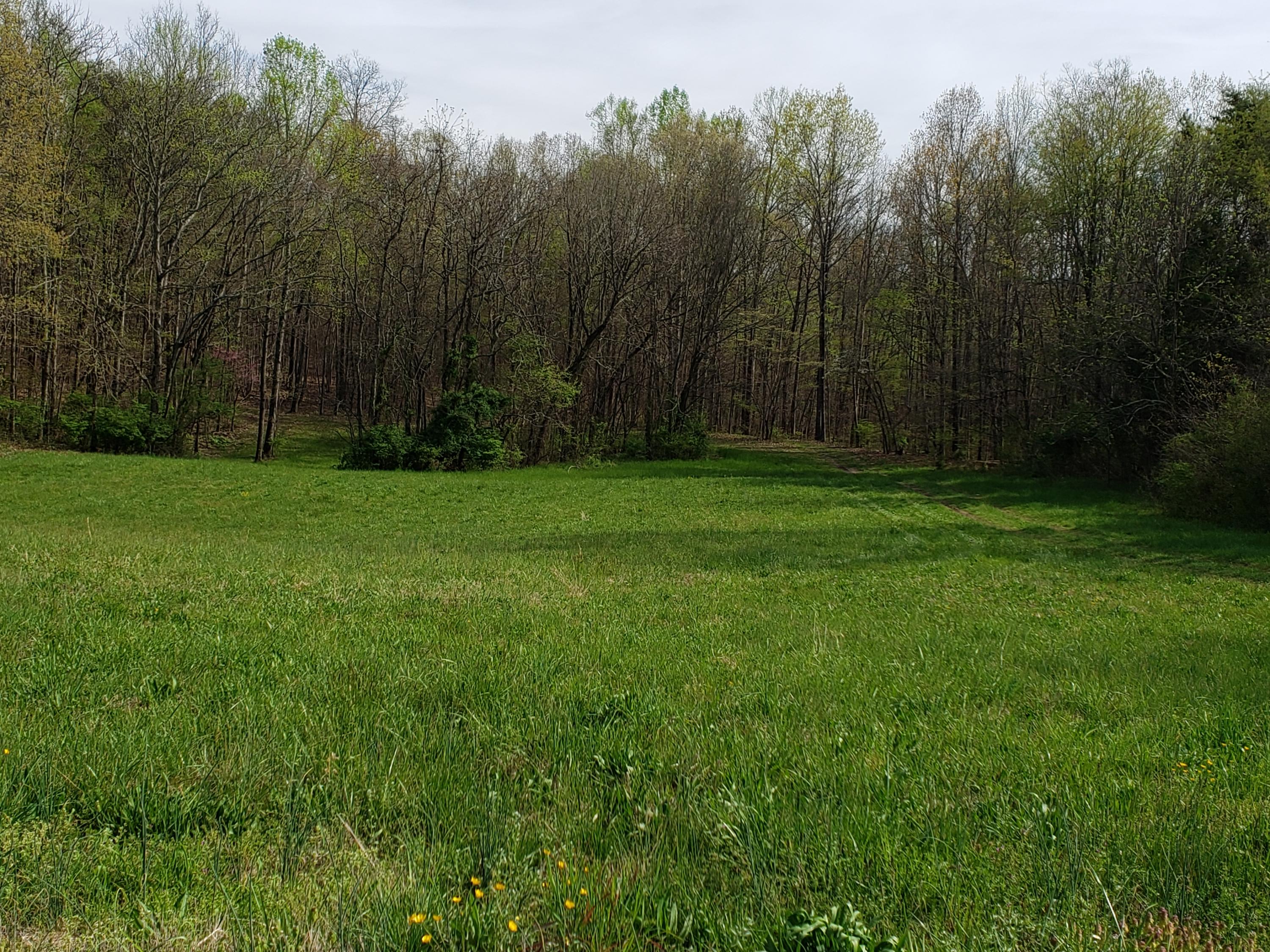 7.02 Carolina Road Dandridge, TN 37725 - Photo 1 of 8 20190411_165418