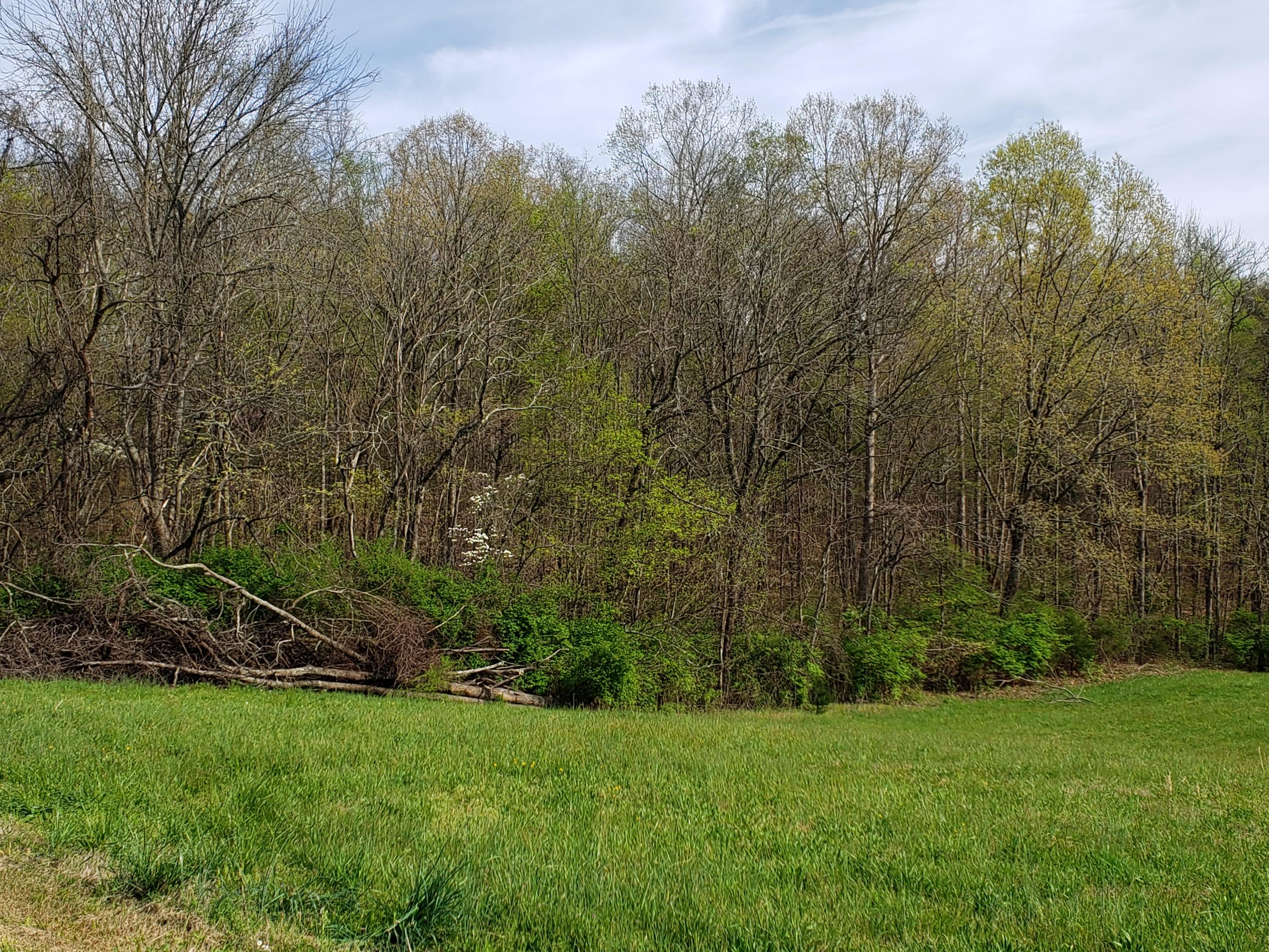 7.02 Carolina Road Dandridge, TN 37725 - Photo 2 of 8 20190411_165424