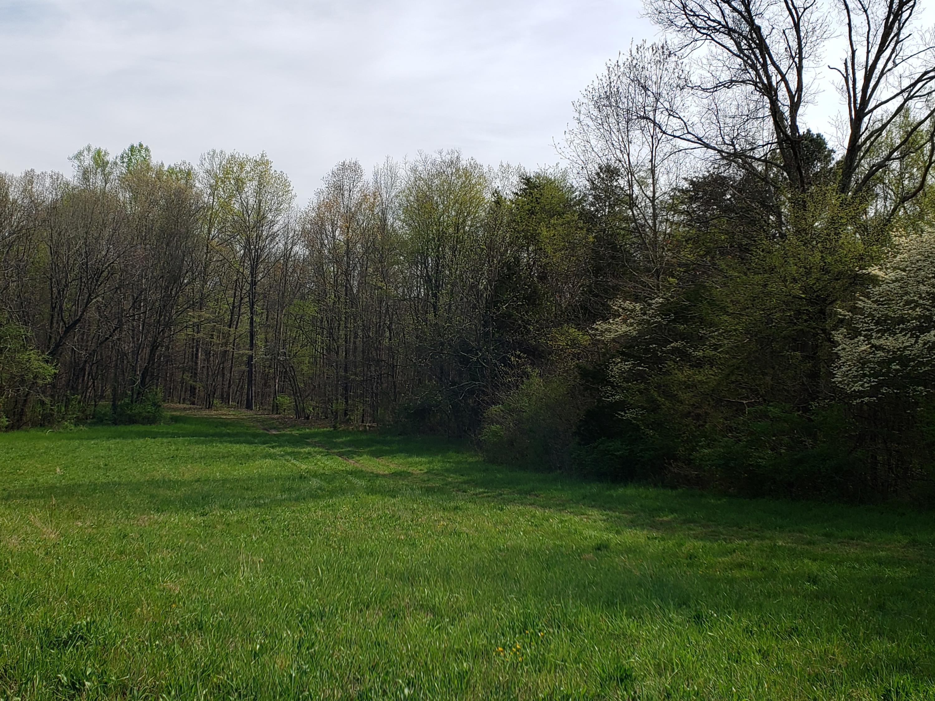 7.02 Carolina Road Dandridge, TN 37725 - Photo 3 of 8 20190411_165428