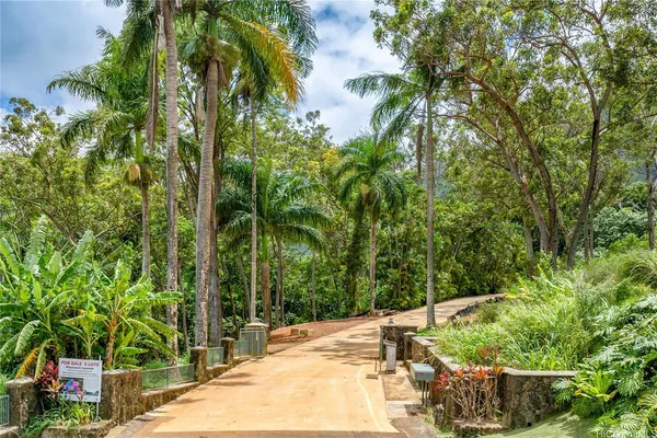 a view of a garden with plants