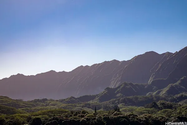 a view of a house with a tree