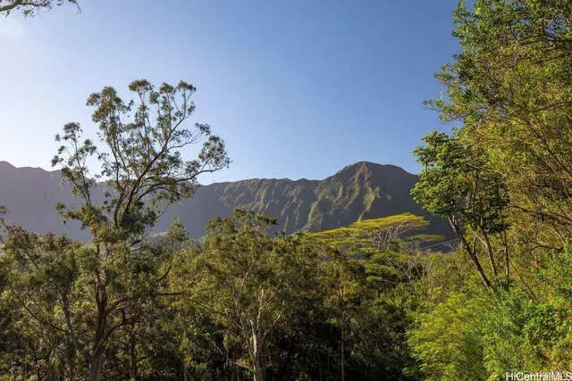 view of a black and white photo