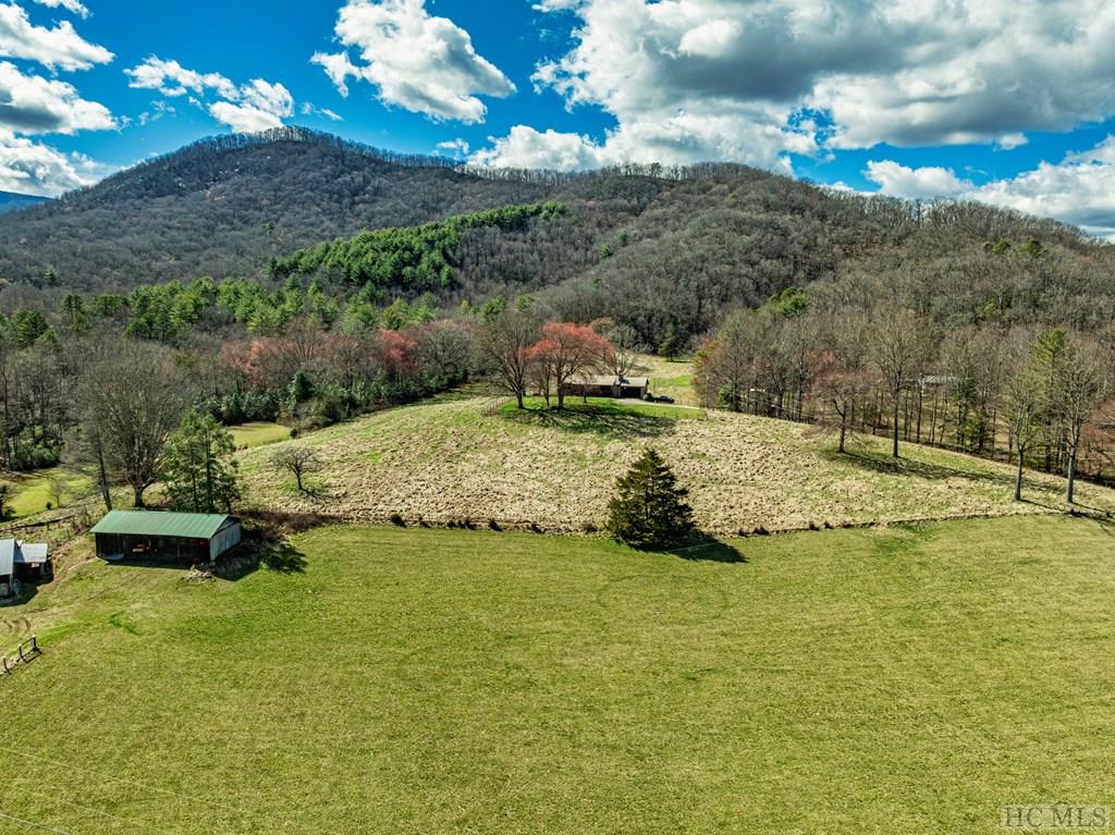 1806 Coweeta Lab Road Otto, NC 28763 - Photo 27 of 39 Gallery Image 27