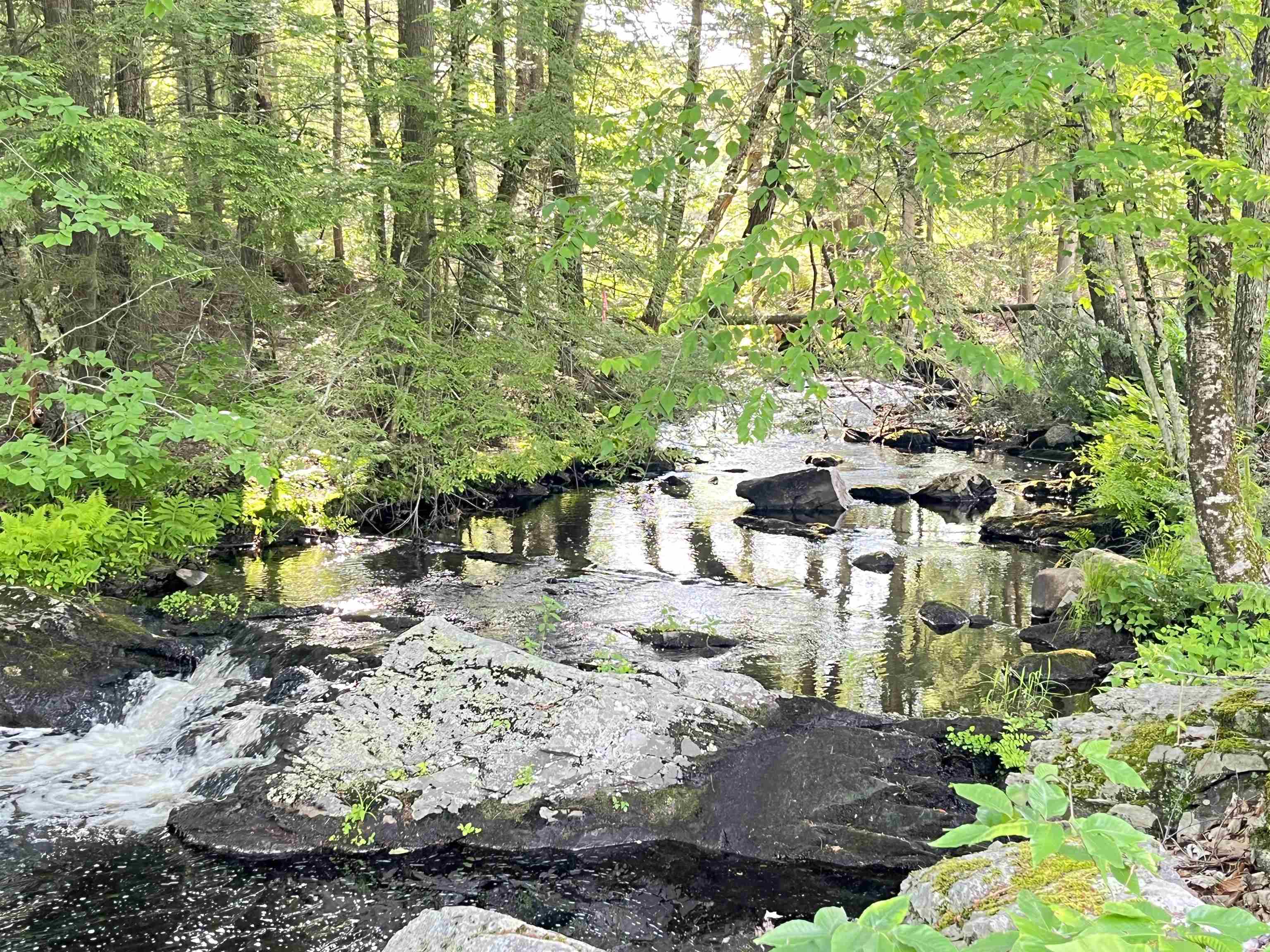 14 Range Road Deerfield, NH 03037 - Photo 52 of 56