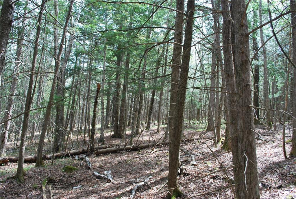 2-1 & 2-2 Osgood Road Garland, ME 04939 - Photo 16 of 28 Photo