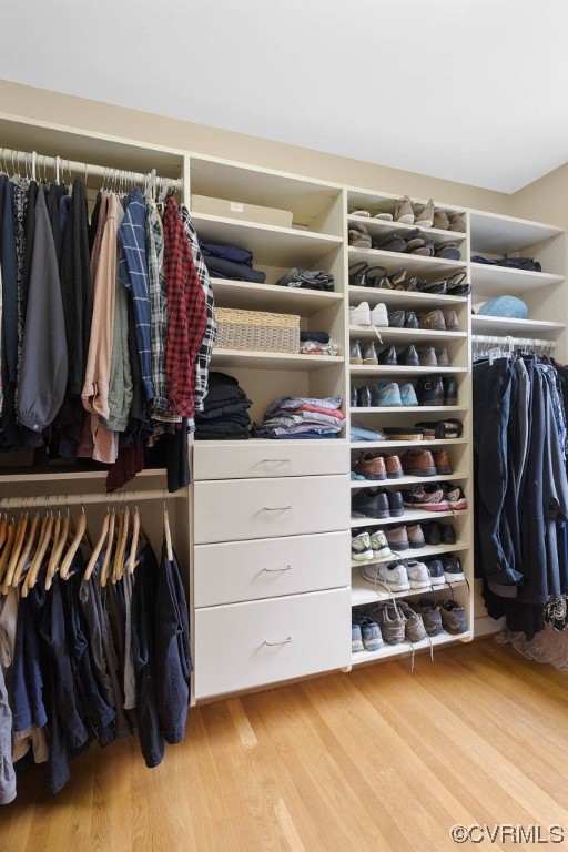 11010 Reeds Landing Road Midlothian, VA 23113 - Photo 28 of 50 Primary bedroom WIC