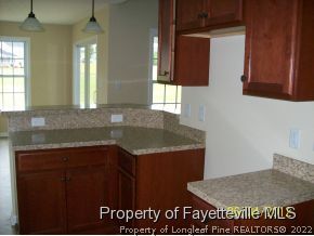 927 Raspberry Road, Unit 124 Stedman, NC 28391 - Photo 8 of 25 Gallery Image 8