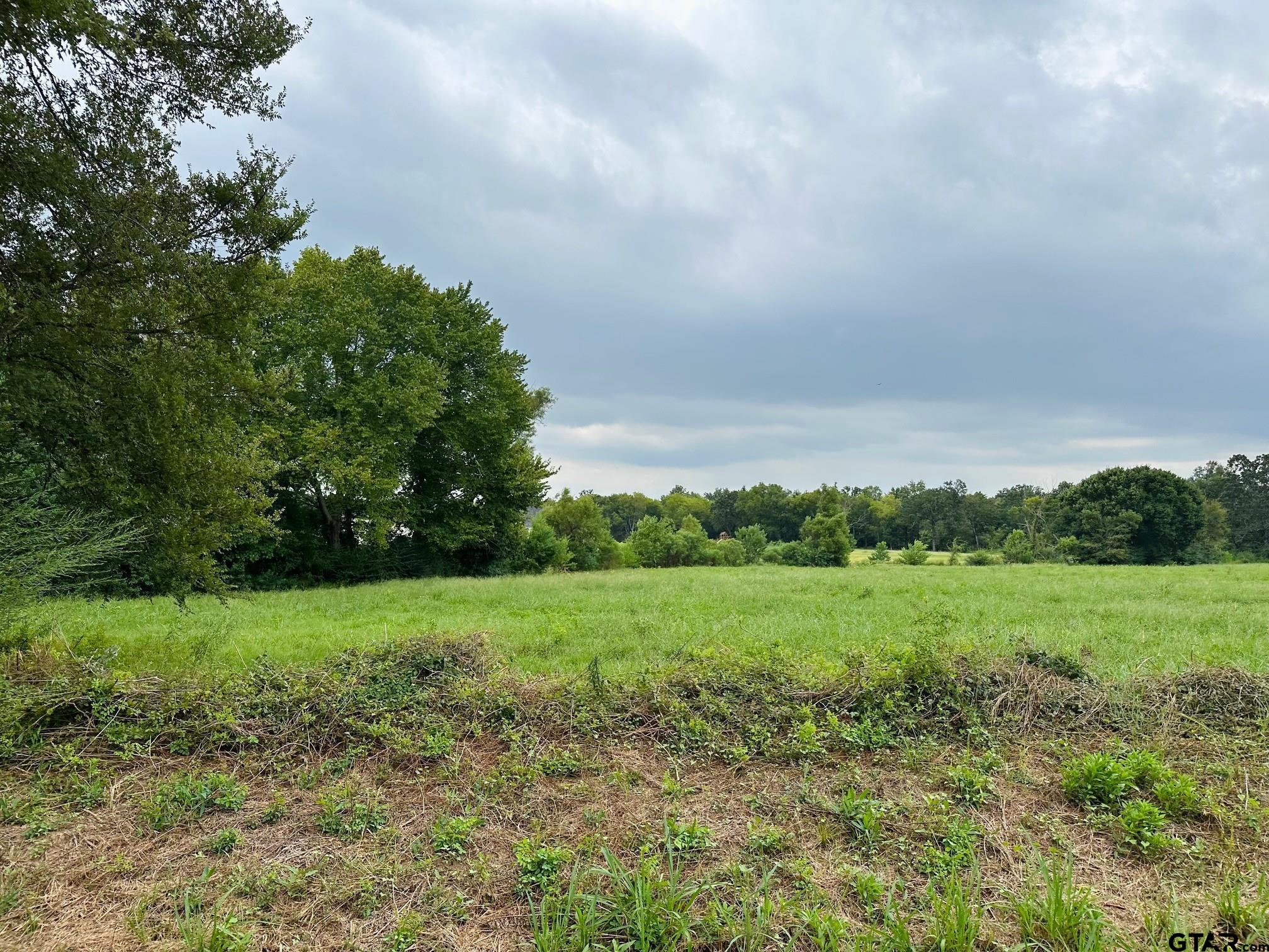 15831 Cr 192 Tyler Tx 75703 Tyler, TX 75703 - Photo 2 of 2 a view of a field with a tree in it