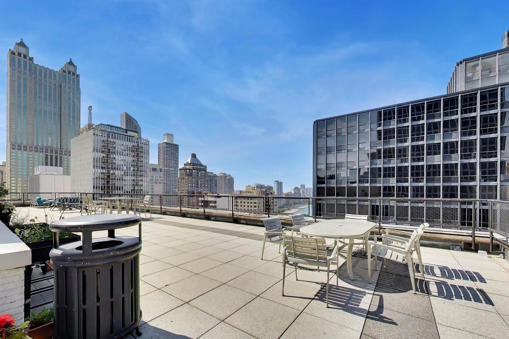 253 East Delaware Place, Unit 12E Chicago, IL 60611 - Photo 29 of 41